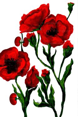 Size : A4